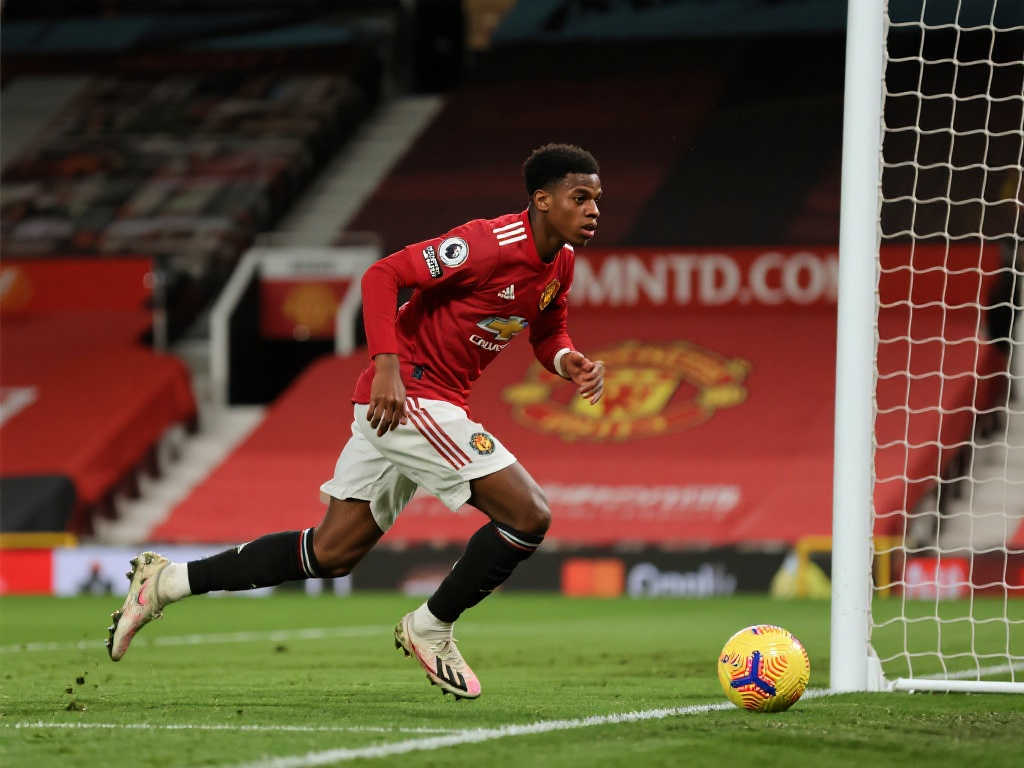 这一现象引 这一现象引